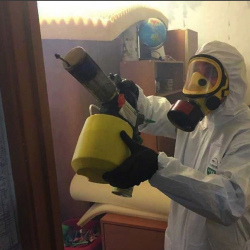 Уничтожение клопов в квартире. Ольховая